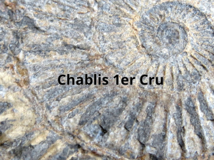 Chablis 1e Cru (800 x 600 px)
